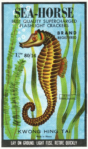 SEA HORSE